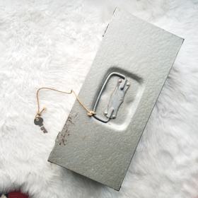 Metal Locking Box w Key