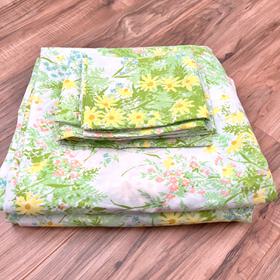 Springmaid sheet and pillowcase set