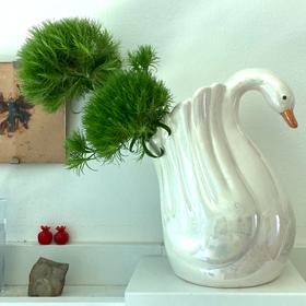 Swan Vase