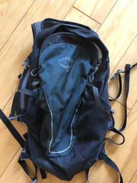 Daylite backpack