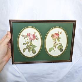 Oval Rose Antique English Framed Print