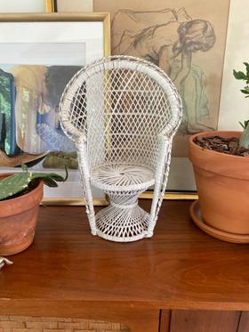 Mini plant rattan chair