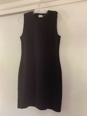 Wilfred Free Fitted Tank Dress
