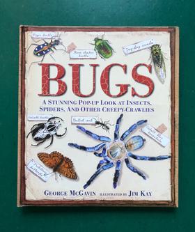 Bugs Pop-Up Book