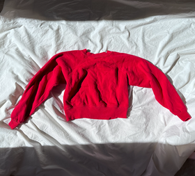 Red Cropped Sweatshirt