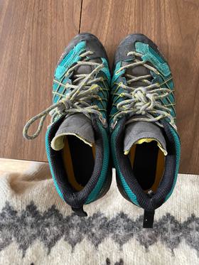 Trail shoe