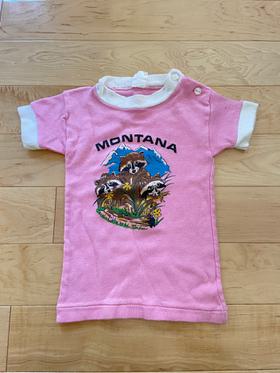 Vintage Montana souvenir t-shirt