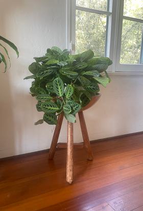 Vintage standing wood bowl/planter