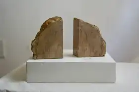 Petrified wood bookends (rock)