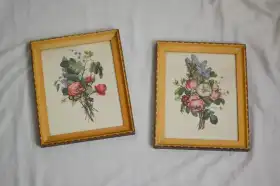 Vintage botanical prints set of 2