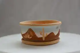 Desert planter ceramic