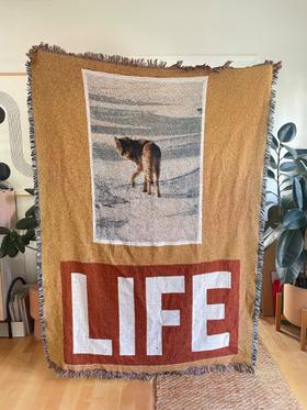 Sage Vaughn woven blanket / tapestry