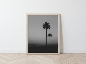 Palm Tree Home Decor Photo Print 8x10