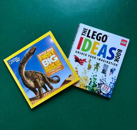 two kids books: dino & lego
