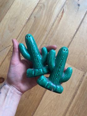 Souvenir cactus salt & pepper shakers