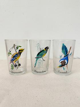Set of 3 Bird Glasses