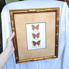 Bamboo Frame Butterfly Trio Art