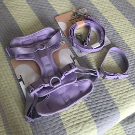 Harness, leash, and collar set in Lilac