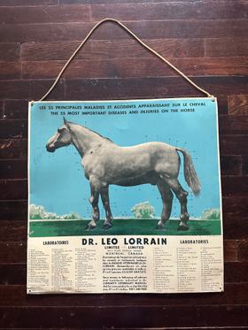 Very Rare Metal Lab Horse Poster, 1940s