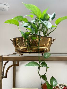Vintage brass plant vase