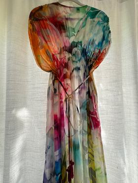 Silk multi-color sheer dress