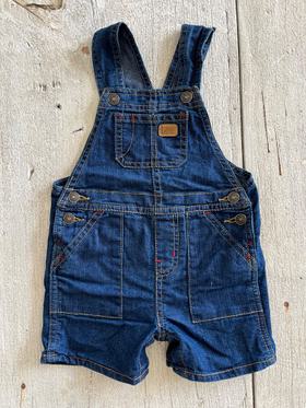 Lee Overall Shorts